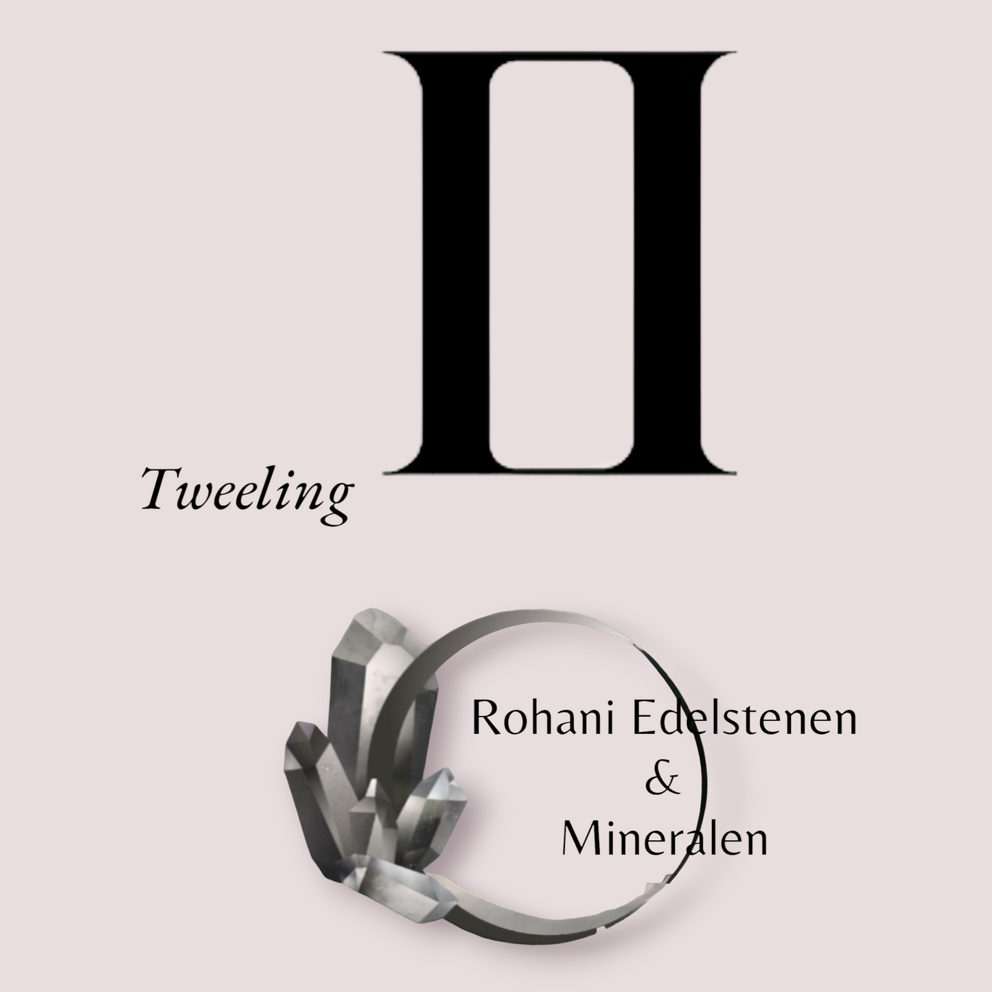 Sterrenbeeld Box Tweeling