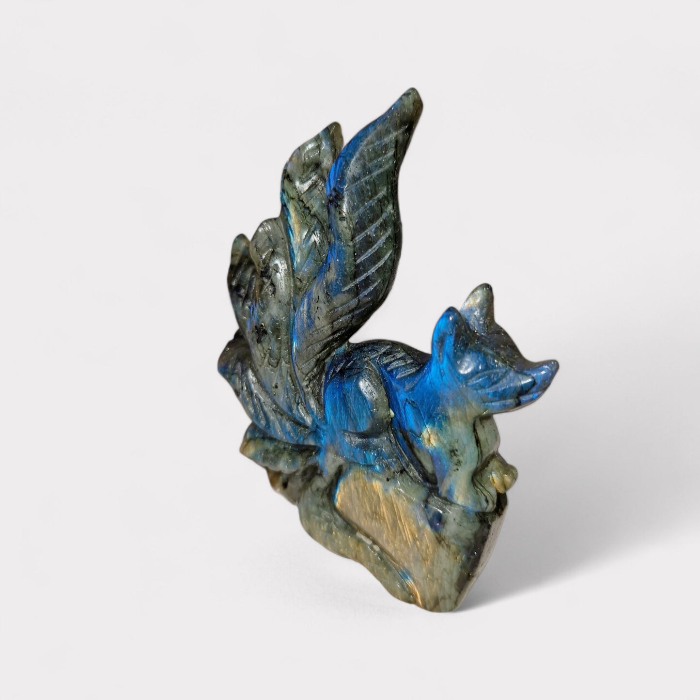 Labradoriet Nine Tail