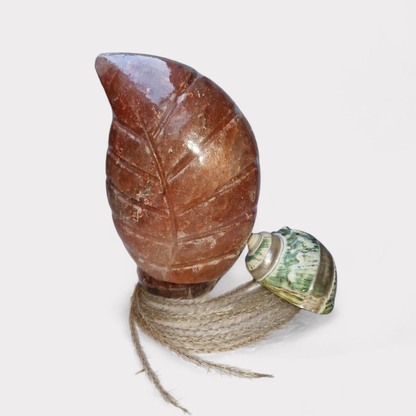 Oranje Blad Zoutlamp