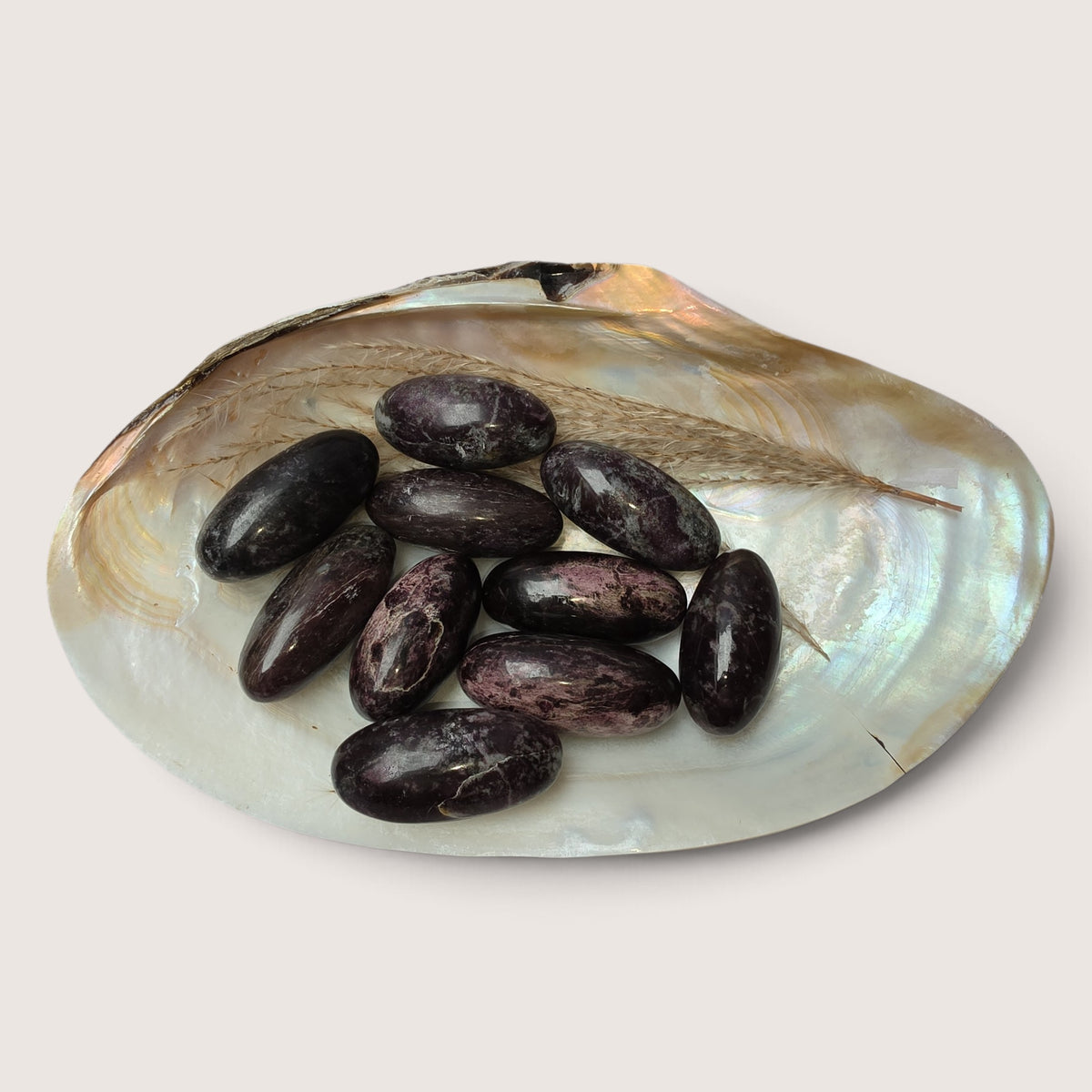 Paarse Dumoriet Shiva