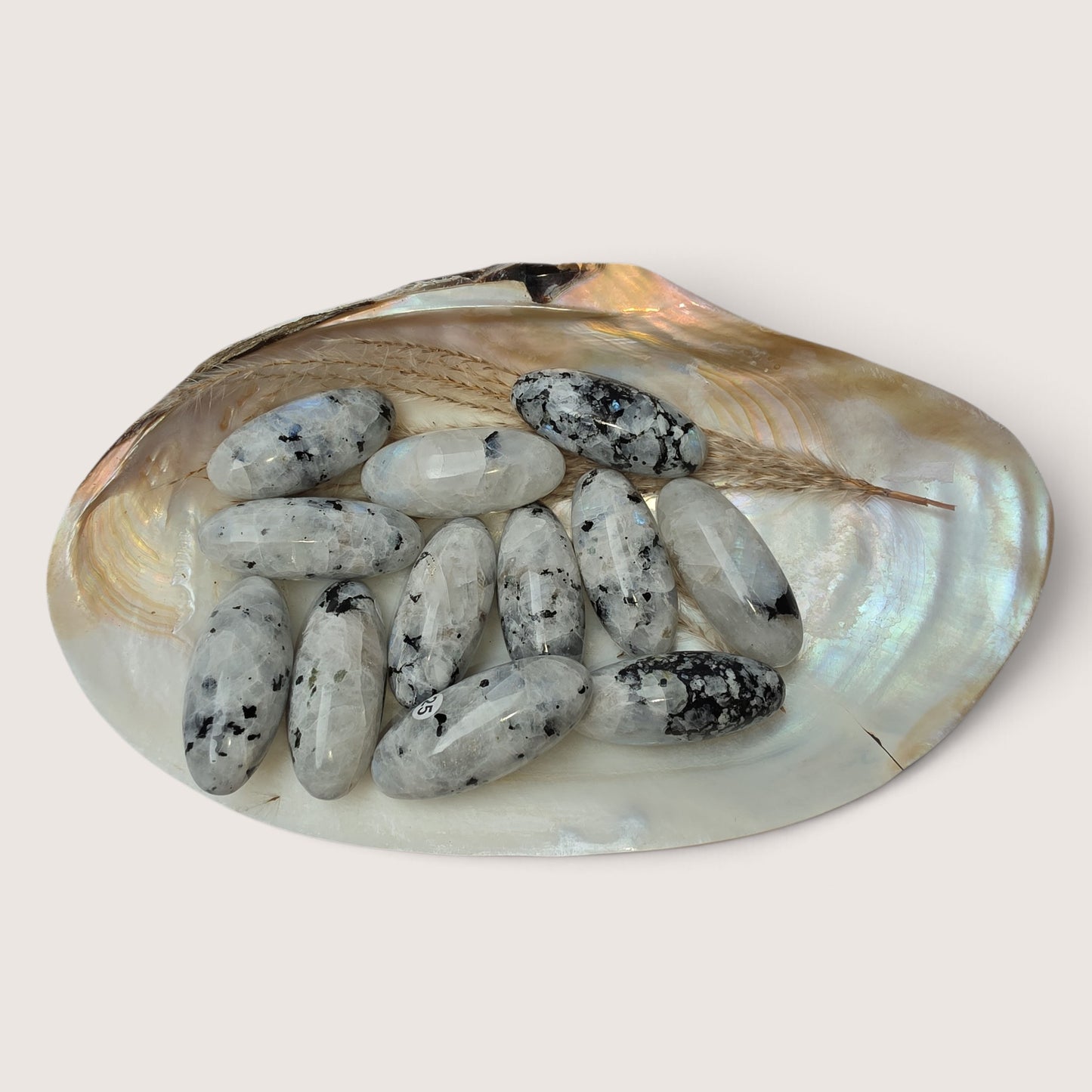 Regenboog Maansteen Shiva's