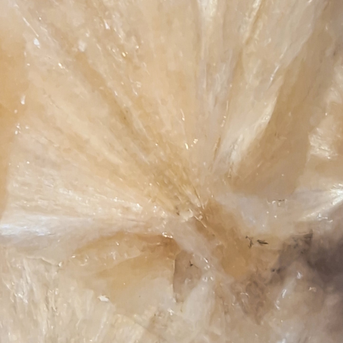 Scolosiet met Stilbiet (India)