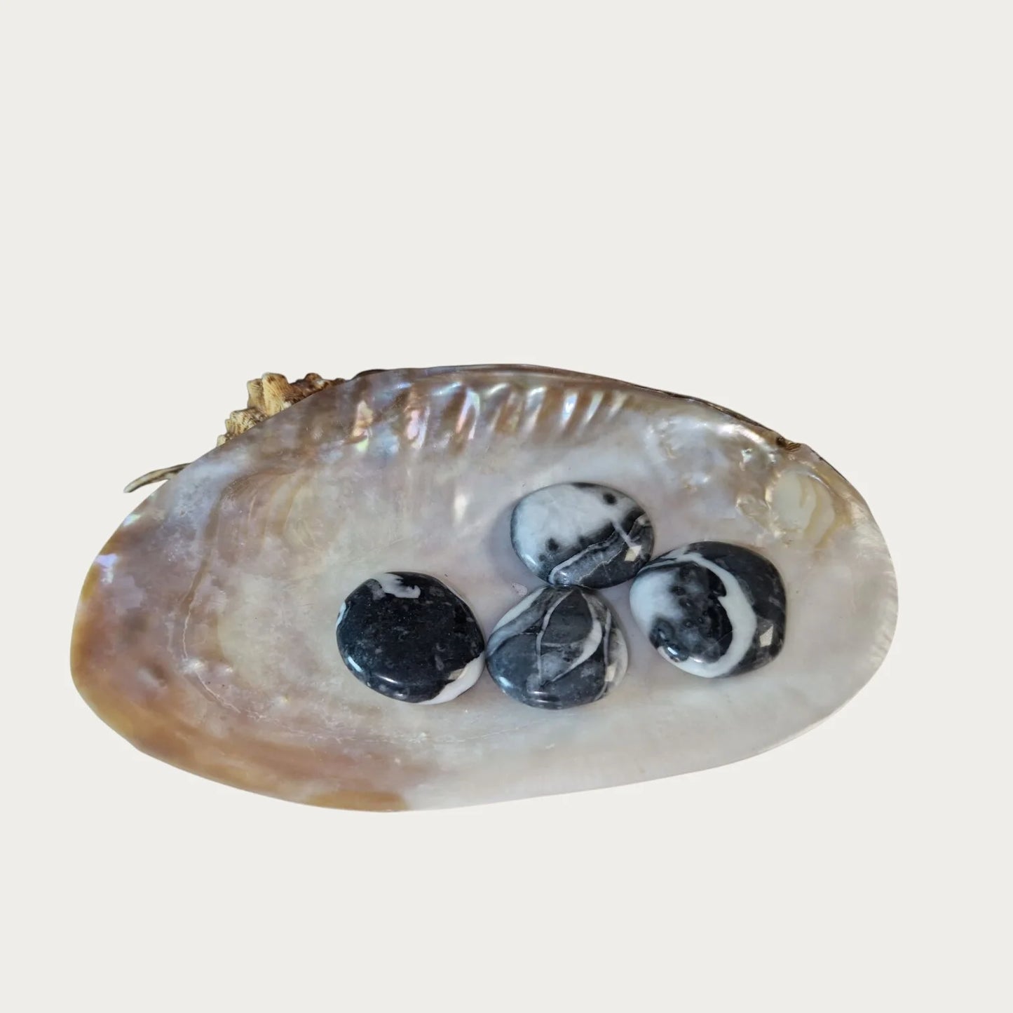 Shell Jaspis platte palmstenen