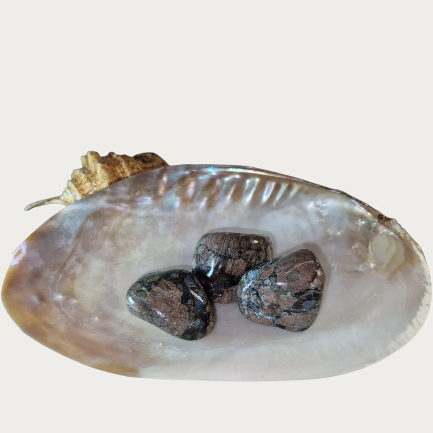 Que Serra Handstenen