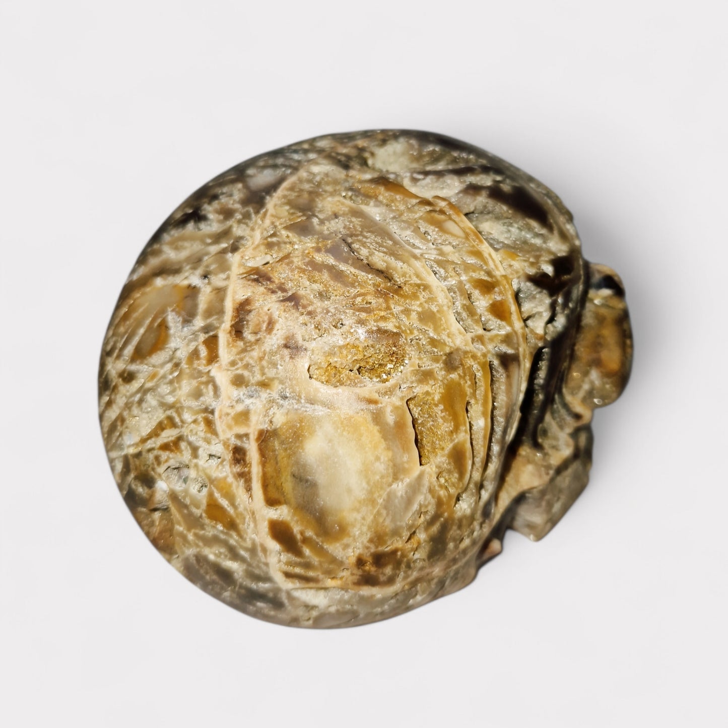 Sfaleriet (Chalcedoon) Skull uit Indonesie