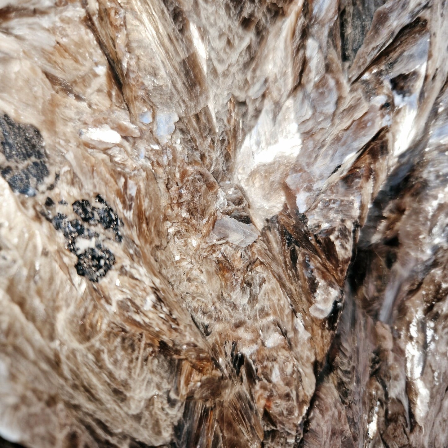Golden Mica met zwarte Toermalijn
