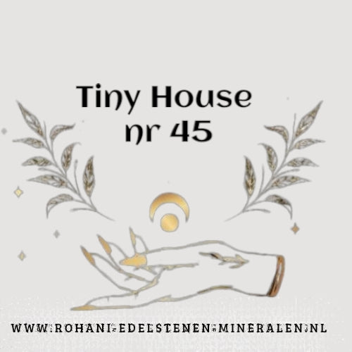 Tiny House no. 45