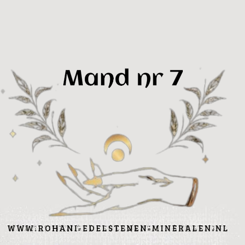 Körbchen Nr. 7