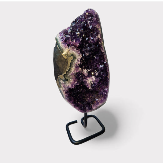 Amethyst Cluster op Standaard (Uruguay)