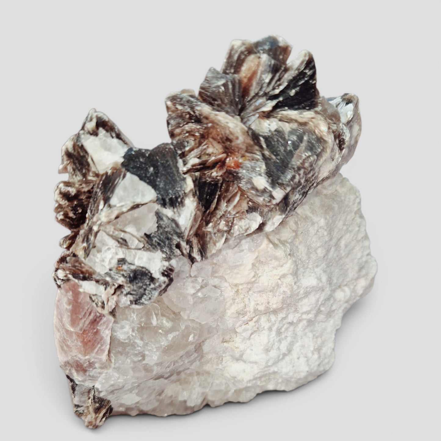 Golden Mica met zwarte Toermalijn