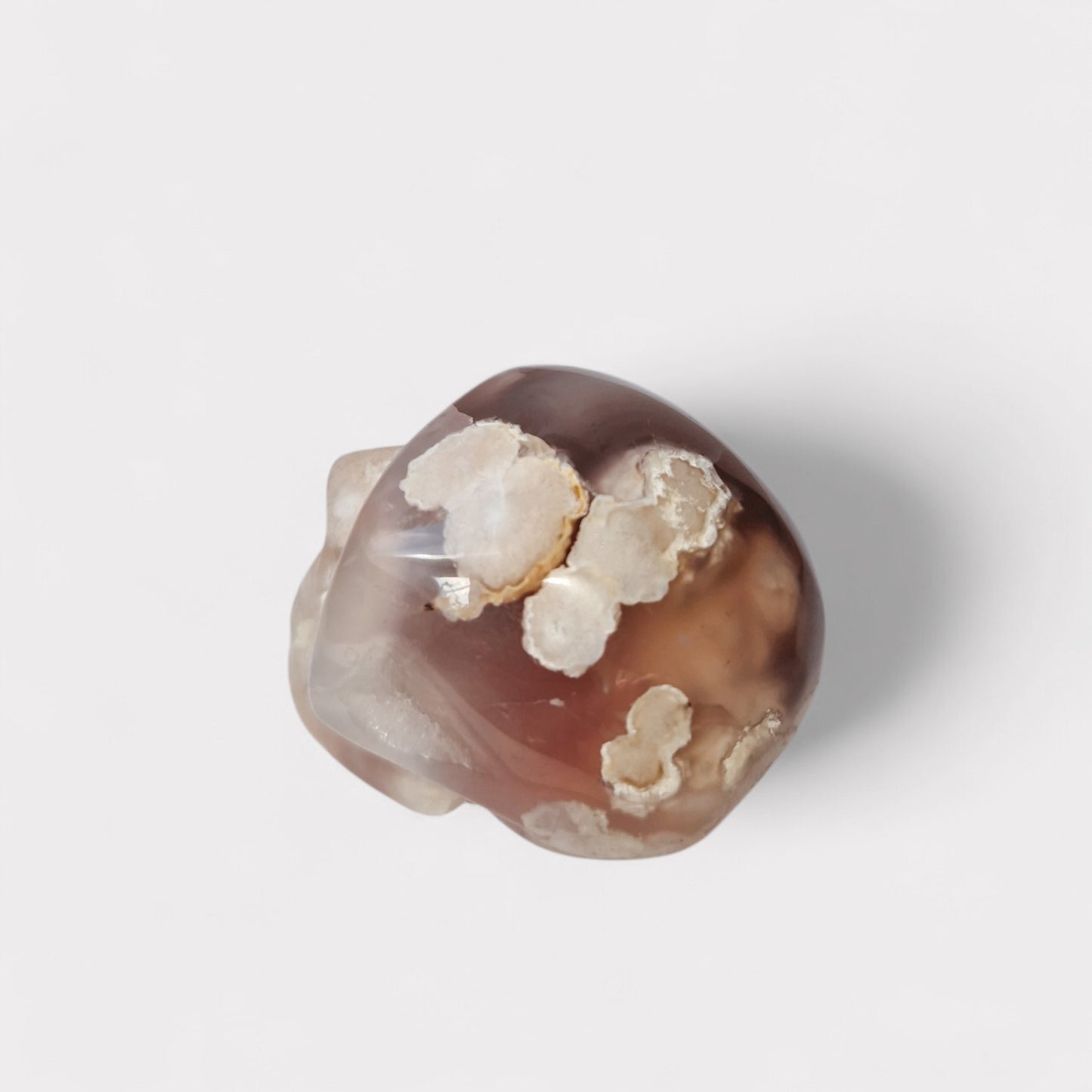 Bloemagaat Skull