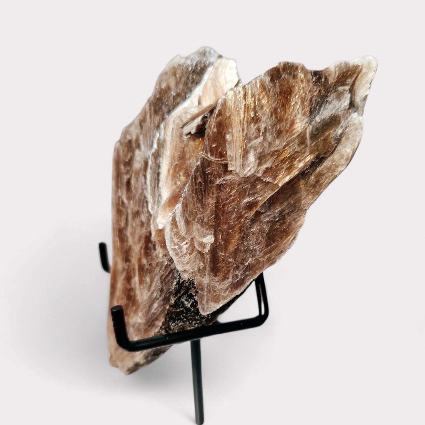Mica with Black Tourmaline