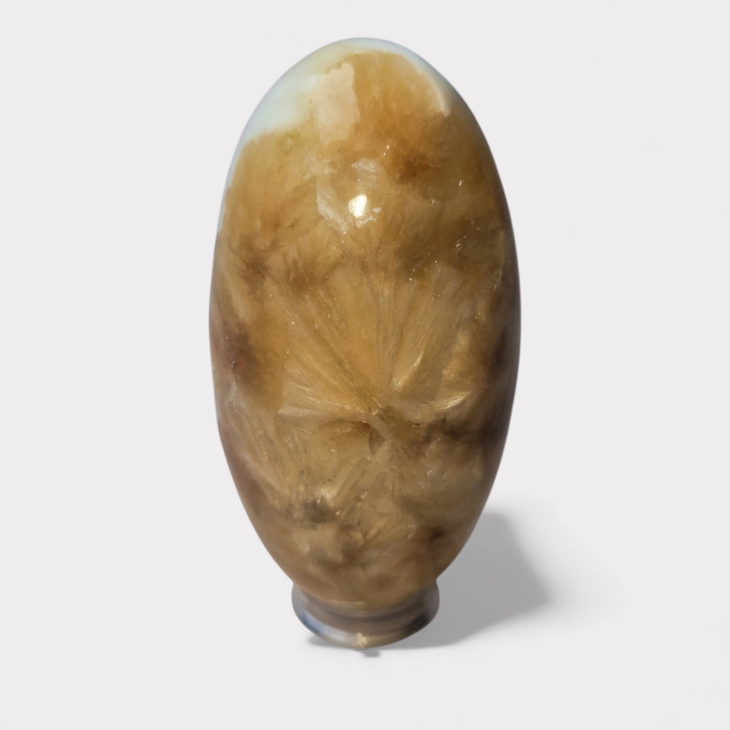 Scolosiet met Stilbiet (India)