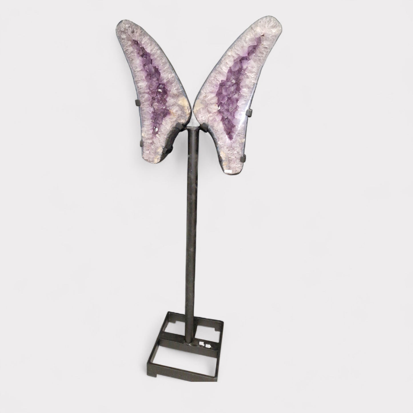 Amethyst Vlinder op standaard (Brazilie)