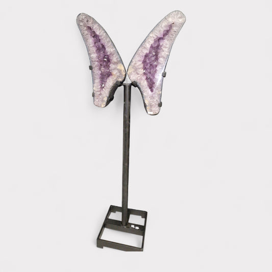 Amethyst Vlinder op standaard (Brazilie)