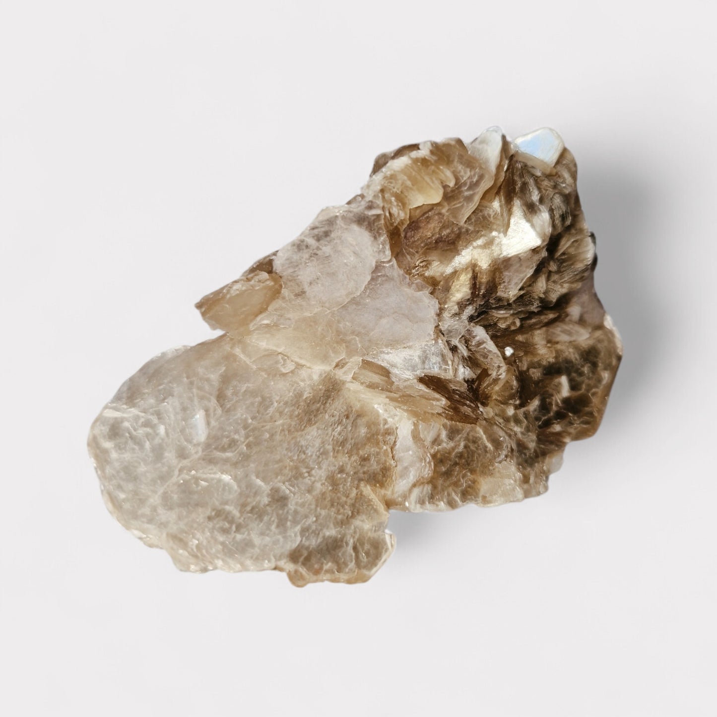 Goldgelber Glimmer