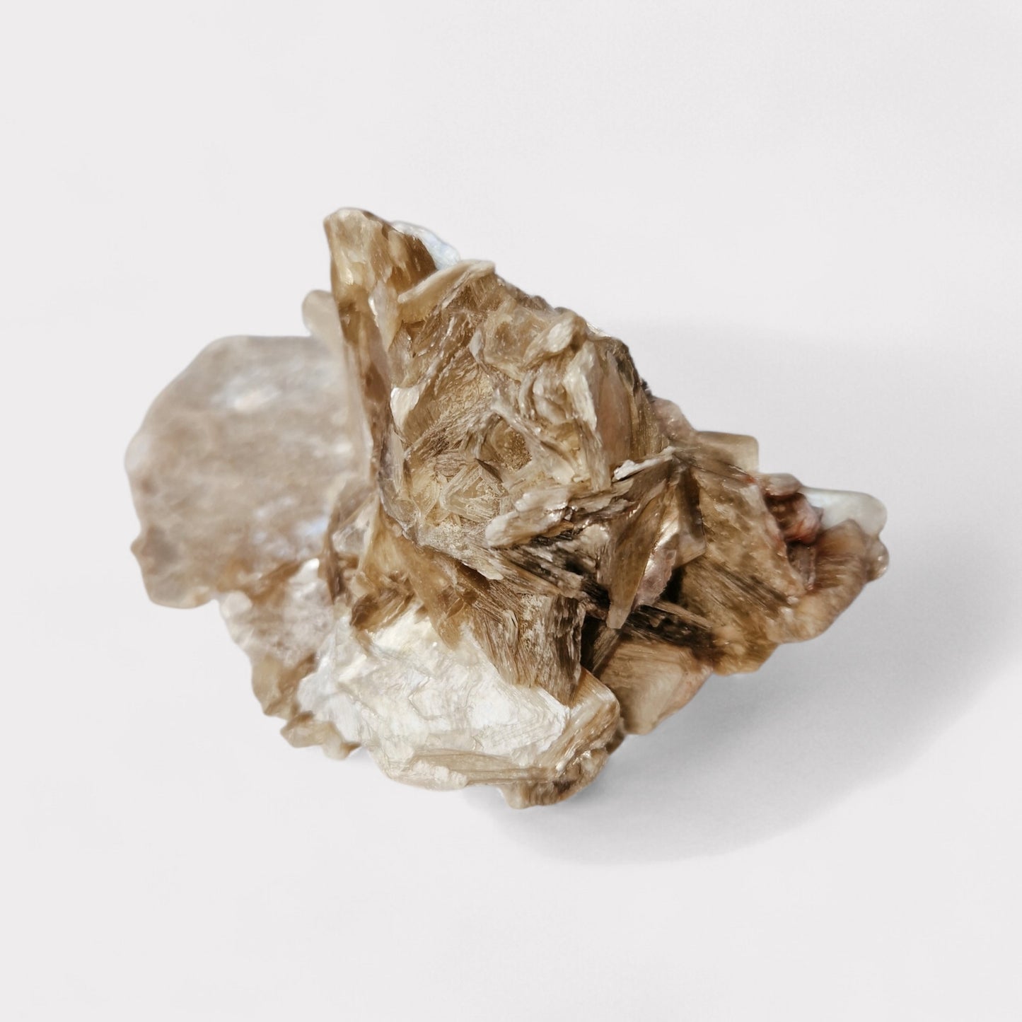 Goldgelber Glimmer