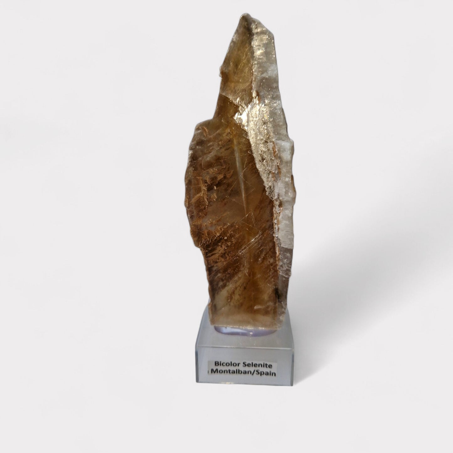 Bicolor Selenite Montalban/Spain