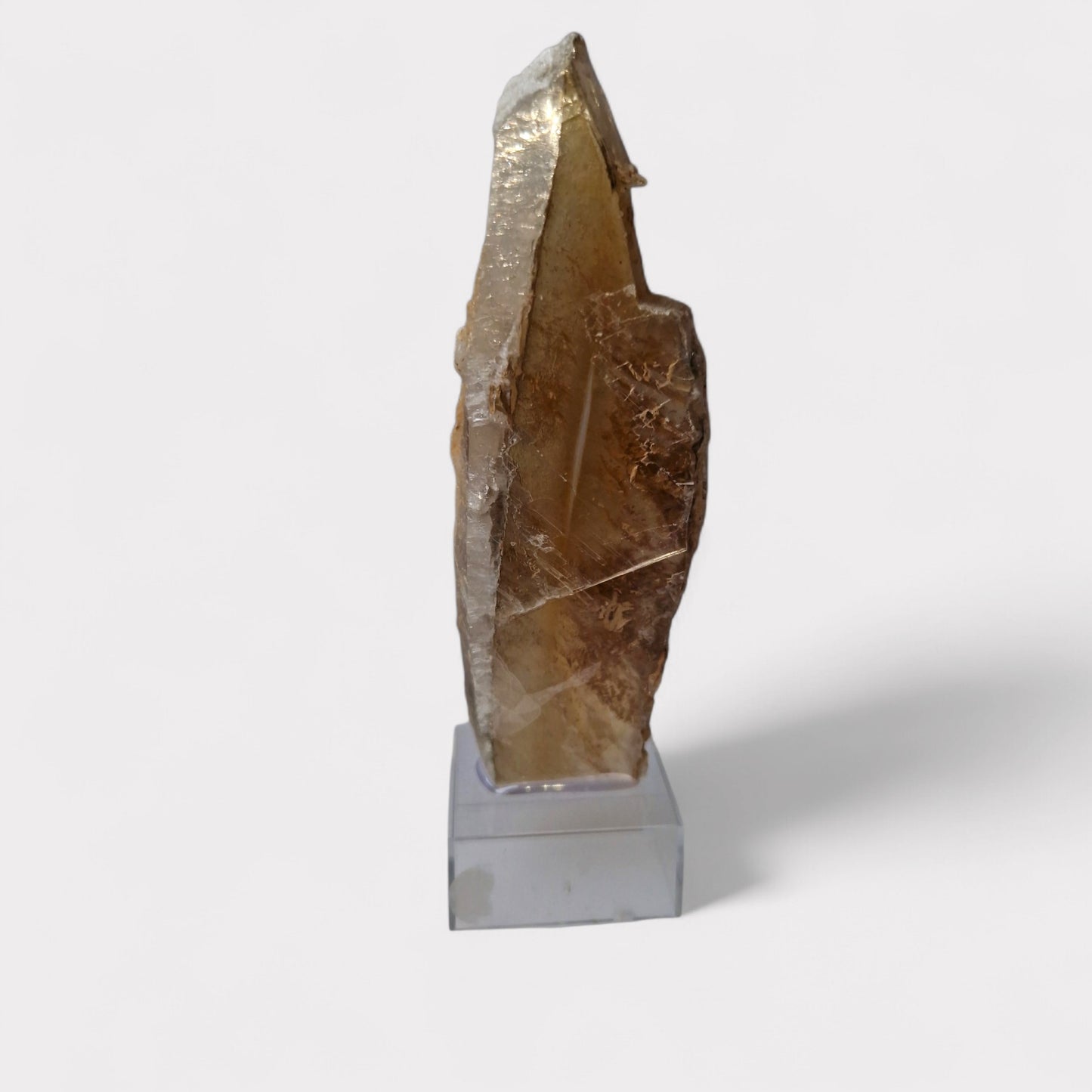 Bicolor Selenite Montalban/Spain