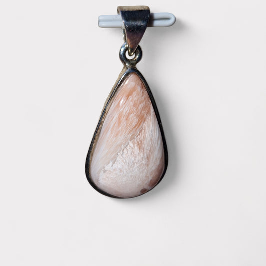 Scolociet met Stilbiet hanger