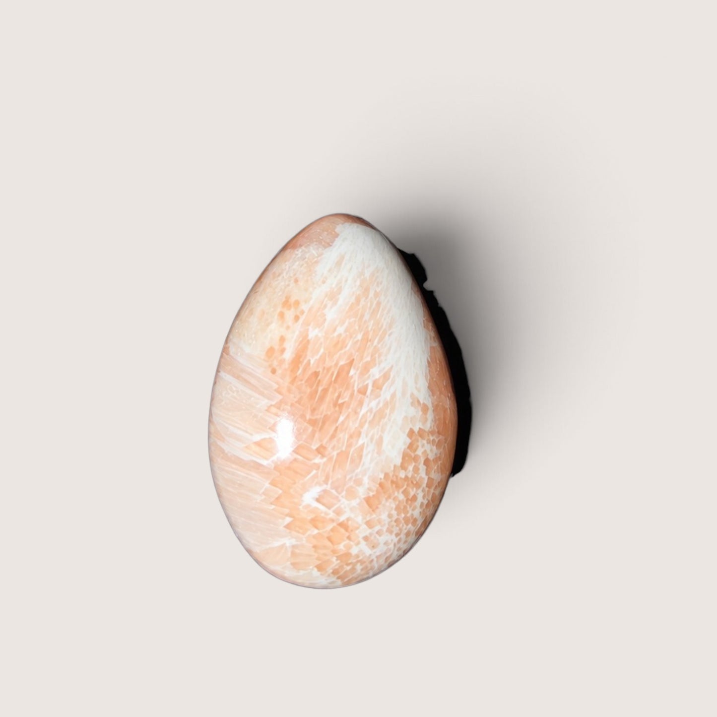 Scolosiet Cabochon
