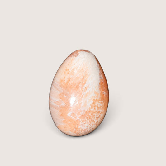 Scolosiet Cabochon