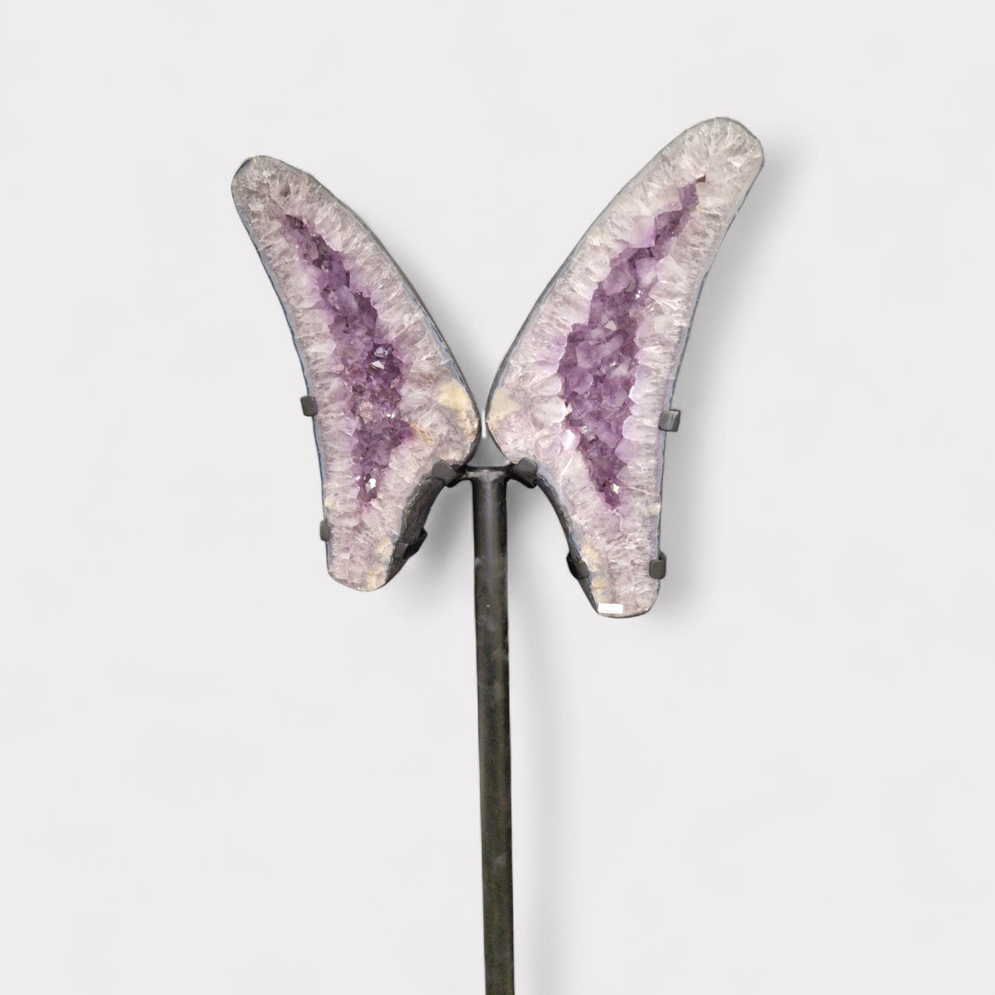 Amethyst Vlinder op standaard (Brazilie)