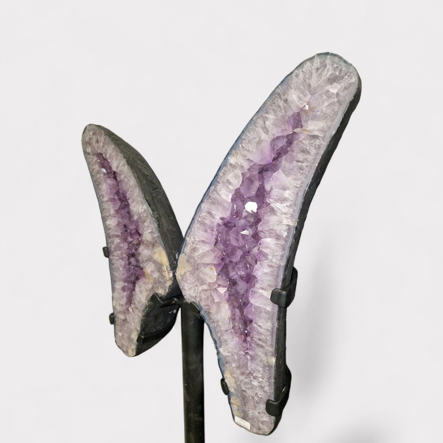 Amethyst Vlinder op standaard (Brazilie)