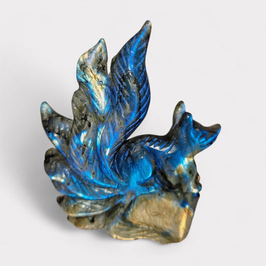 Labradoriet Nine Tail