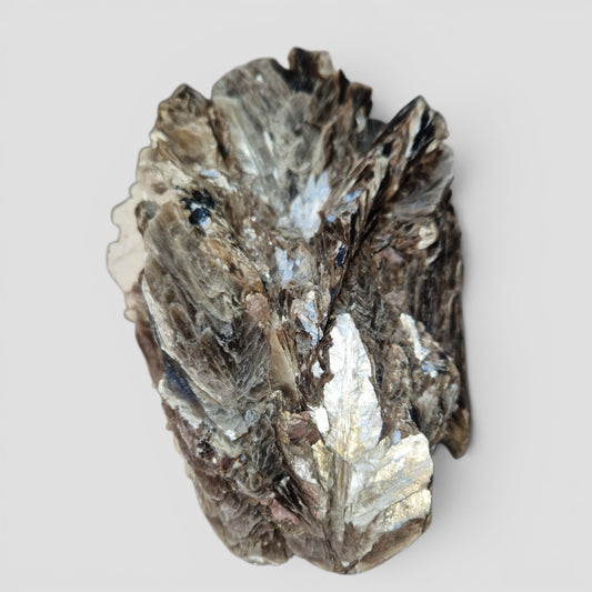 Golden Mica met zwarte Toermalijn