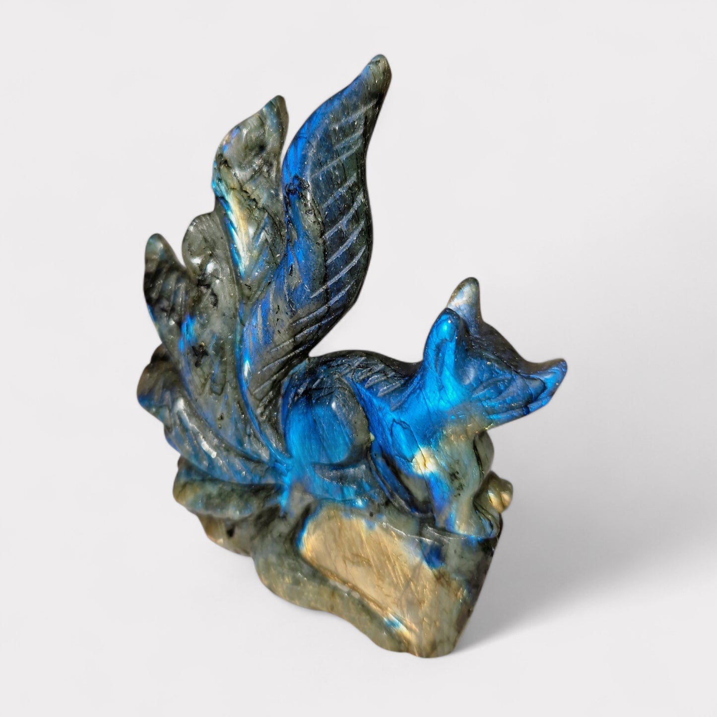 Labradoriet Nine Tail