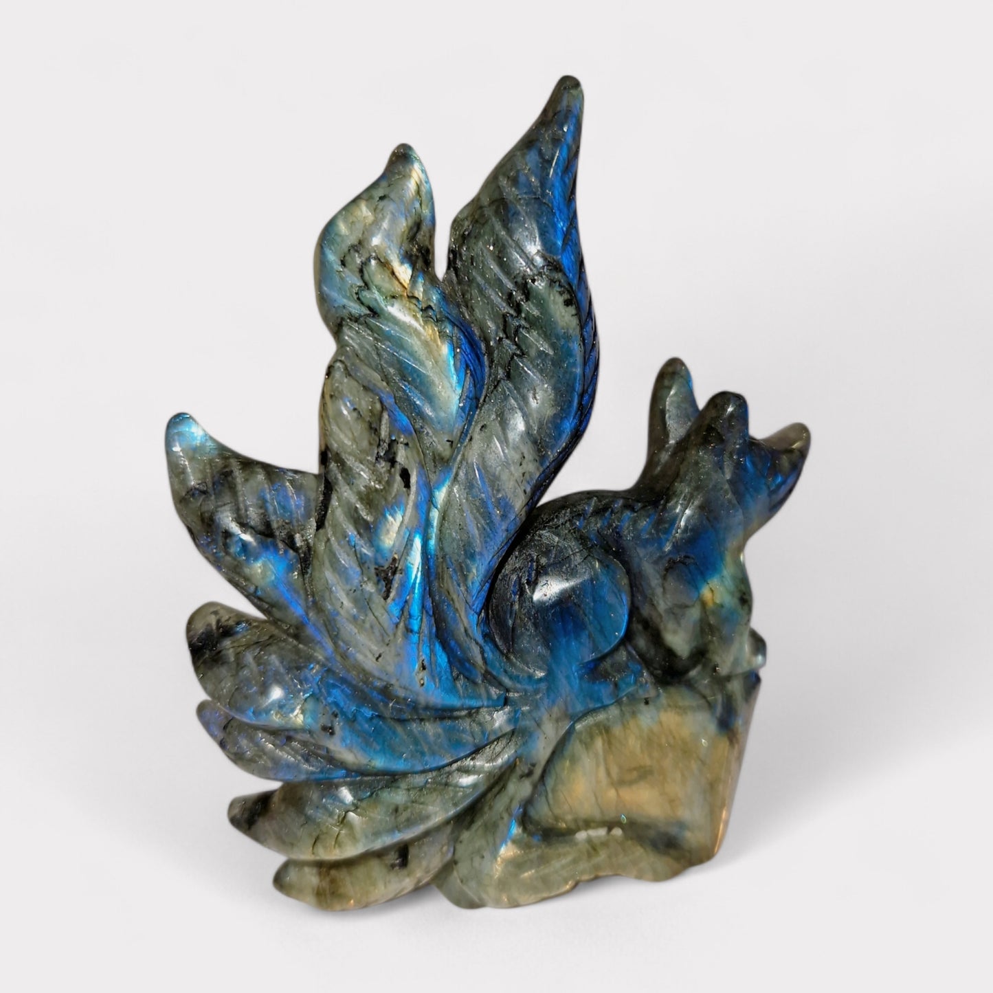 Labradoriet Nine Tail