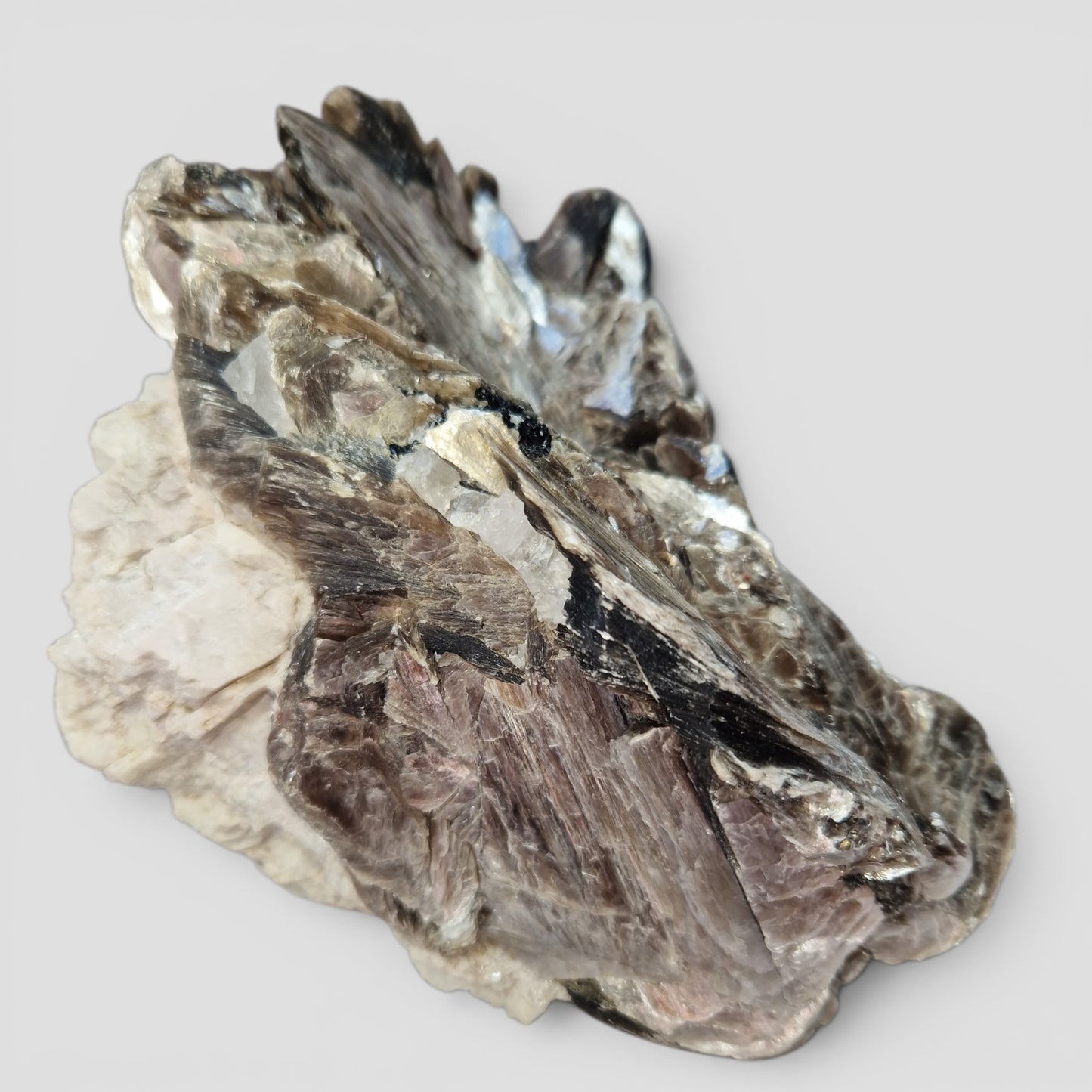Golden Mica met zwarte Toermalijn