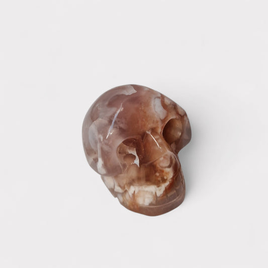 Bloem Agaat Skull
