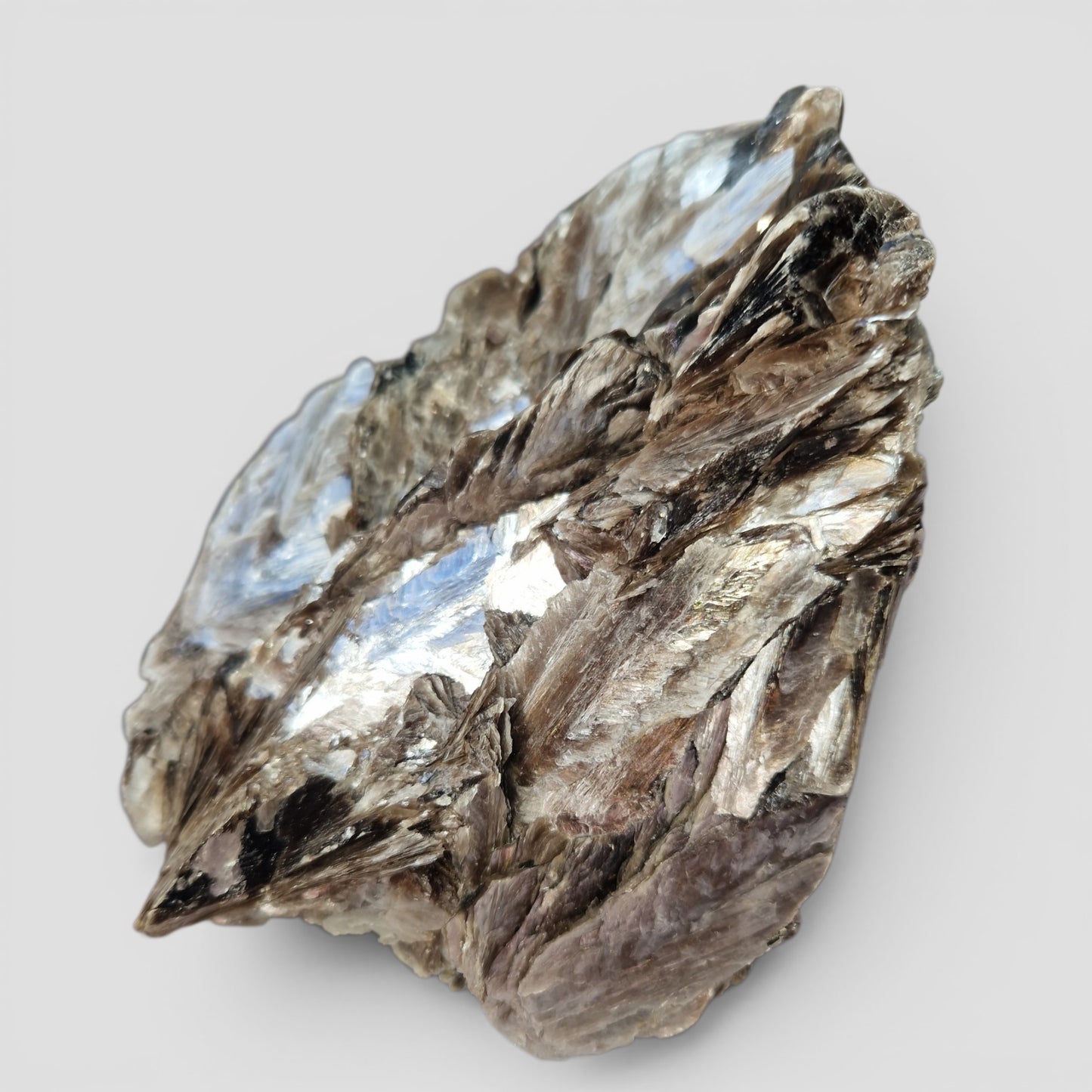 Golden Mica met zwarte Toermalijn