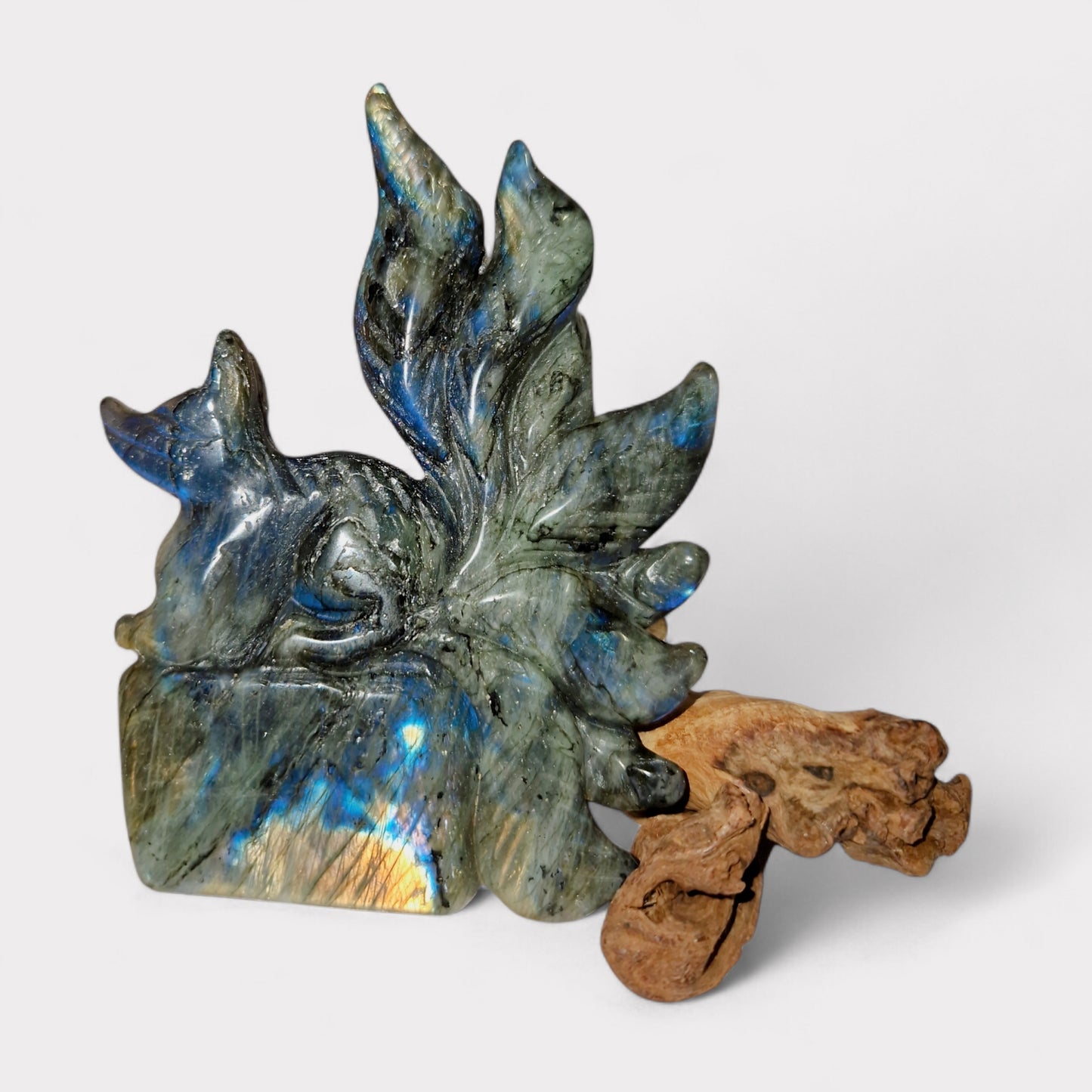 Labradoriet Nine Tail