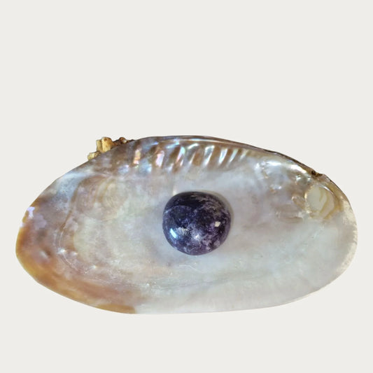 Lepodoliet handsteen