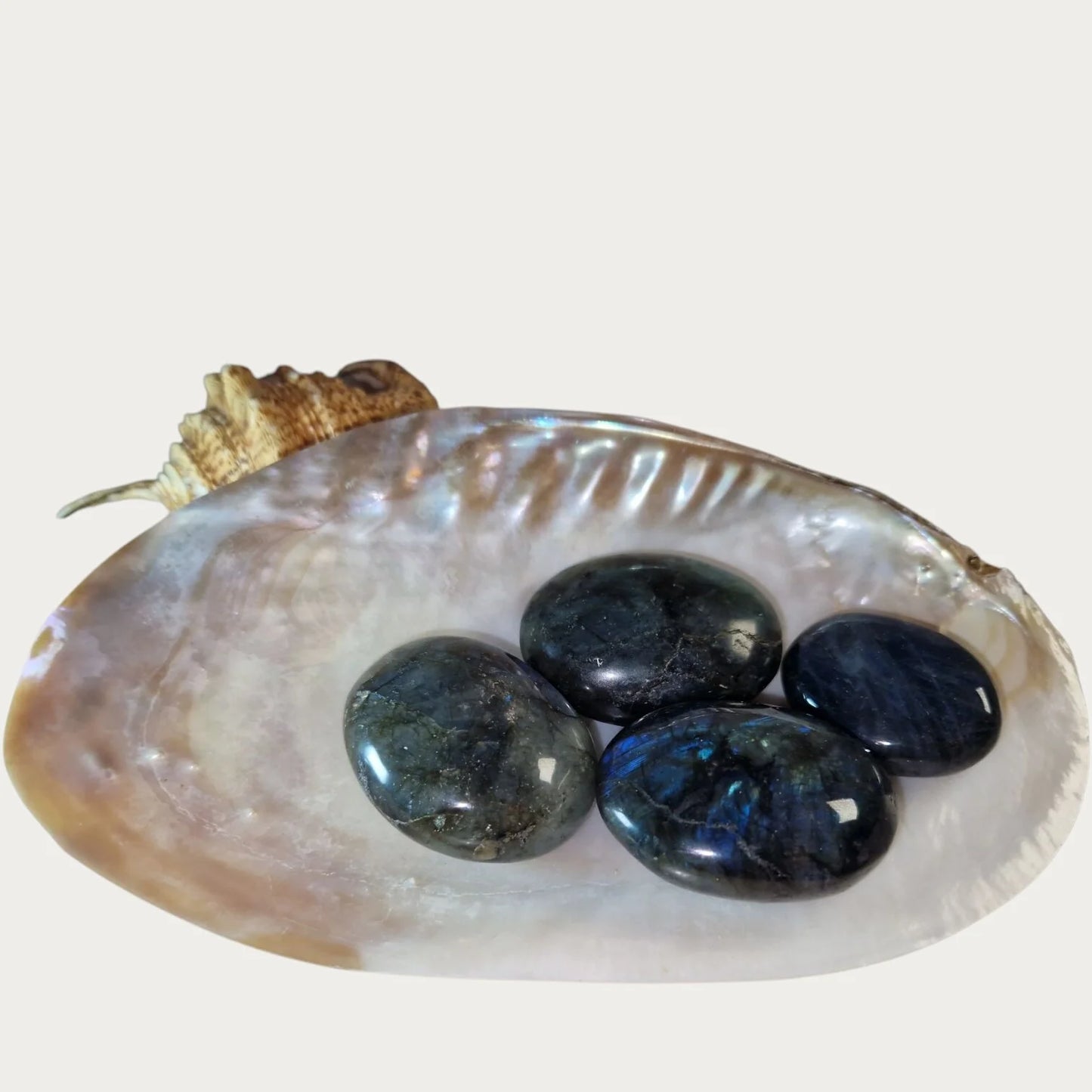 Labradoriet Handstenen