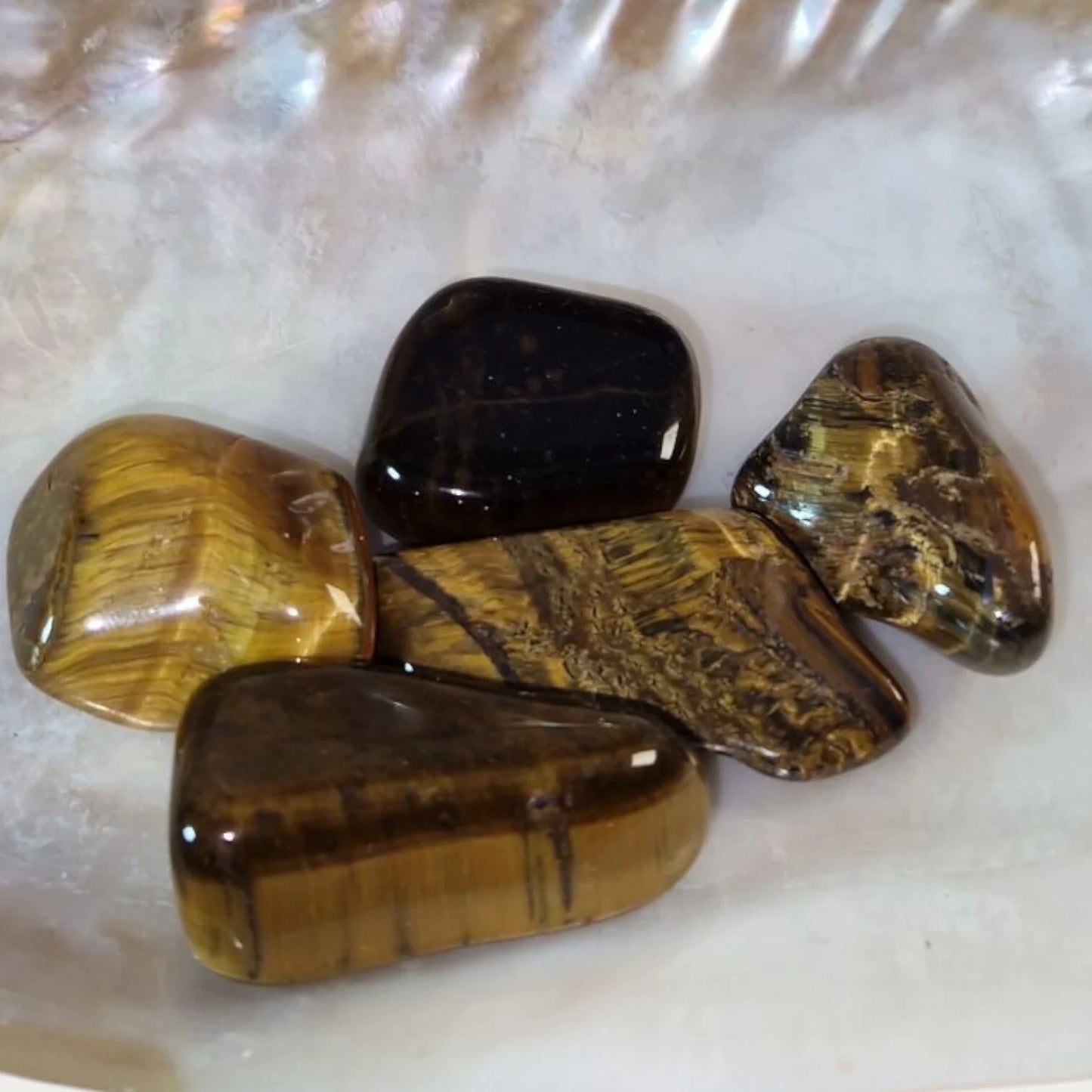 Tijgeroog palmstenen